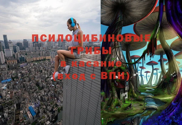 молекула духа Арсеньев
